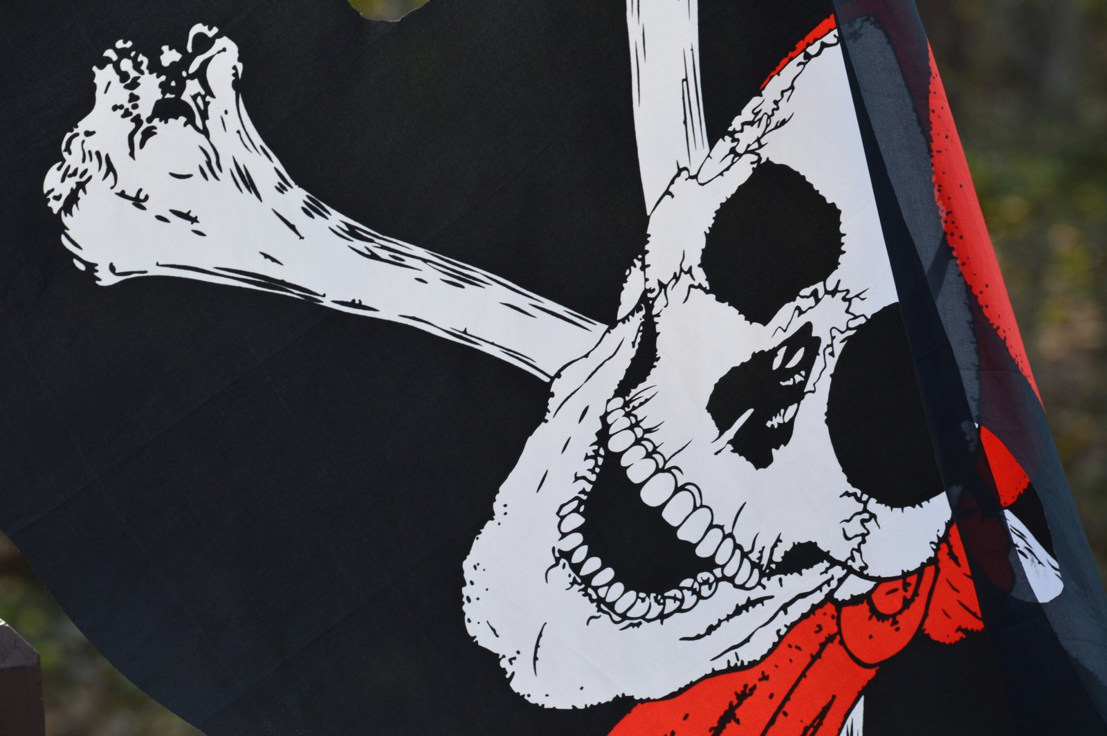 Geger! Bendera One Piece Berkibar di Depan Rumah Jelang HUT RI ke-80 – Kok Bisa?
